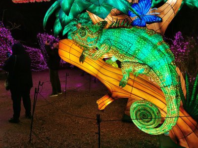 48.86466979972222,1.79620516277778