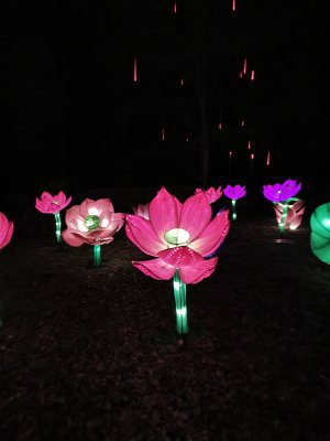 48.86388888888889,1.79444444444444