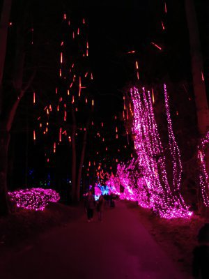 48.86400604222222,1.79464244833333