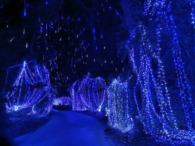 48.86361111111111,1.79333333333333