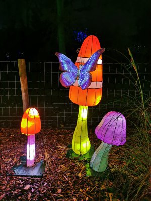 48.86327362055556,1.79263412944444