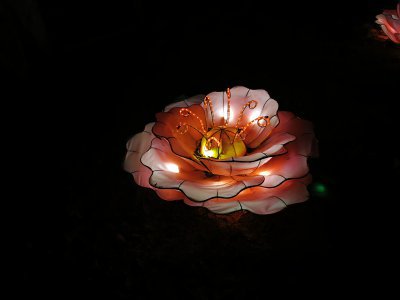 48.86307525611111,1.79261171805556