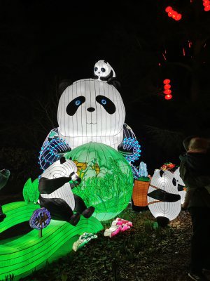 48.86232757555555,1.79278540611111