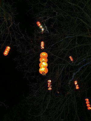 48.86279296861111,1.79271805277778