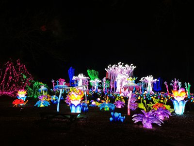 48.86232757555555,1.79278540611111