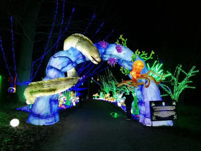 48.86229324333333,1.79273974888889