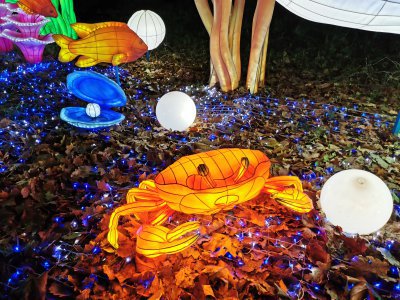 48.86158370944445,1.79350221138889