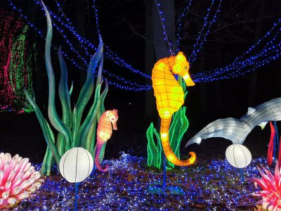 48.86229324333333,1.79273974888889