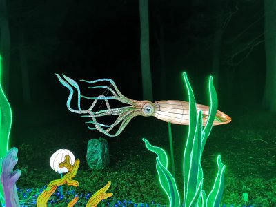 48.86149215694444,1.7935962675