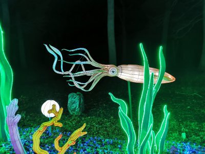 48.86149215694444,1.7935962675