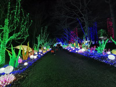 48.86229324333333,1.79273974888889