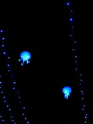 48.86139678944445,1.79378378388889