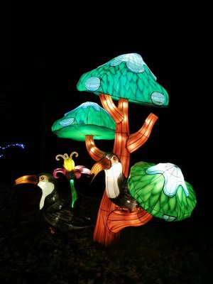 48.86146926861111,1.79554772361111