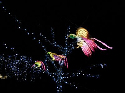 48.86148834222222,1.79562199111111