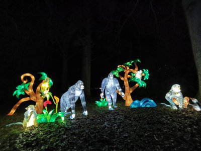 48.86169052111111,1.79619824861111