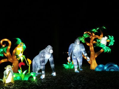 48.86169052111111,1.79619824861111