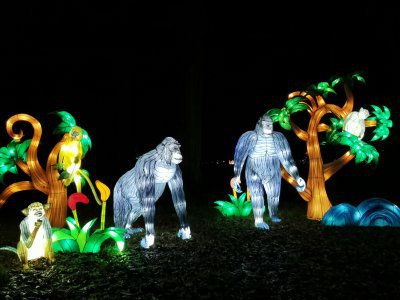 48.86169052111111,1.79619824861111