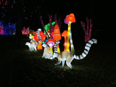 48.86178970333334,1.79651999472222