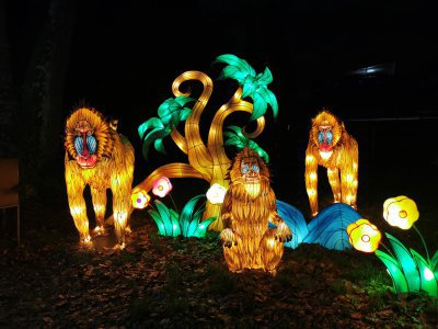 48.86222076388889,1.79694902888889