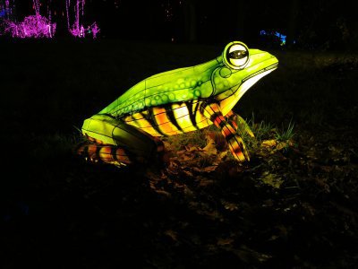 48.86228179916667,1.79731404777778