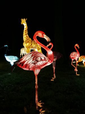 48.86258316027778,1.79584085916667