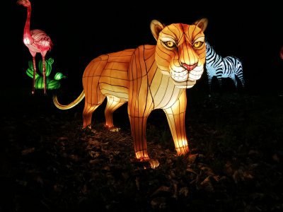 48.86258316027778,1.79584085916667