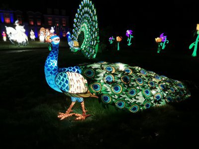 48.86328125,1.79531693444444