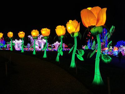 48.8632469175,1.79462659333333