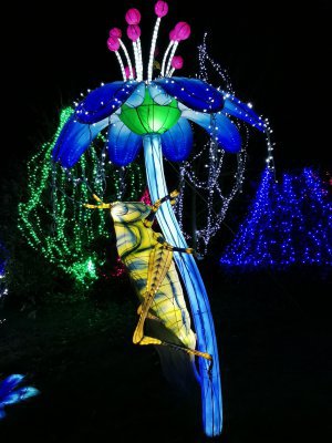 48.86321258527778,1.79430294027778