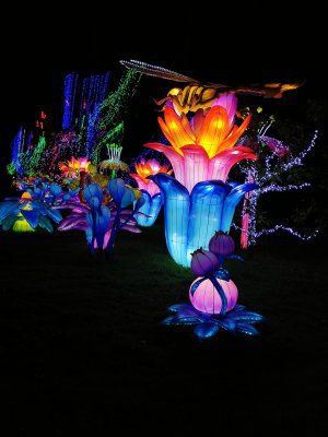 48.86229324333333,1.79273974888889