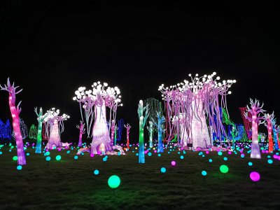 48.86279296861111,1.793528795