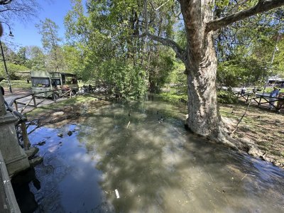 45.47313333333334,9.17667777777778