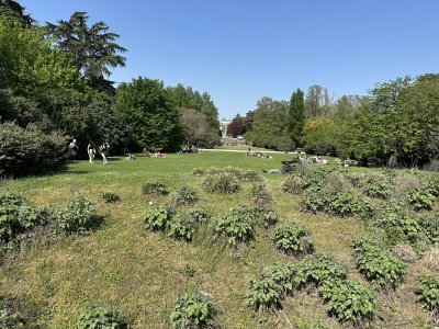 45.47163055555556,9.177625