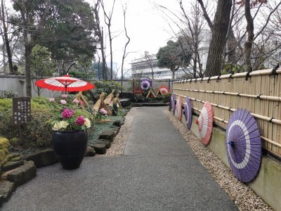 35.71509933444445,139.77241516111113