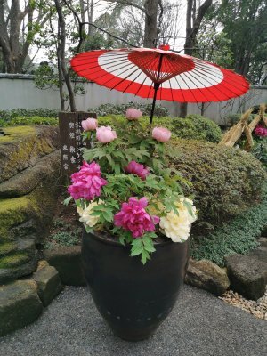 35.71512603750001,139.77238464333334