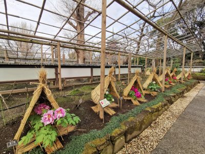 35.71505355833334,139.77227783194445