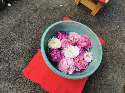 35.71517944333333,139.77169799777778