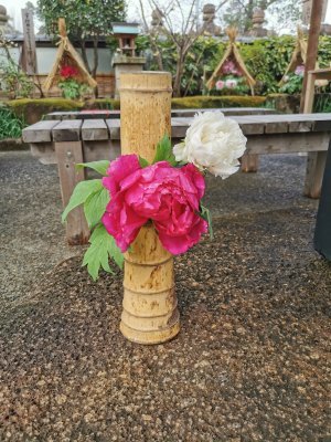 35.715221405,139.77168273916669