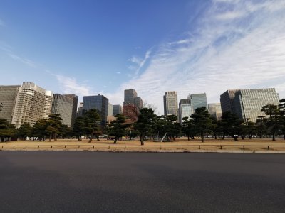 35.68274688694444,139.75782775861111