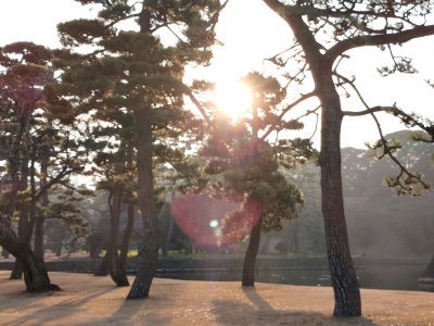 35.68251800527778,139.75650024388889