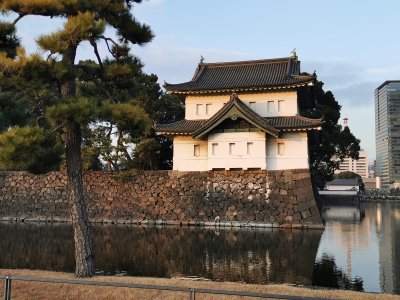 35.68341827388888,139.76055908194445