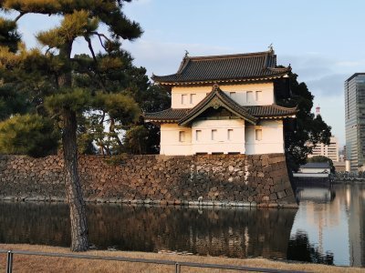 35.68341827388888,139.76055908194445