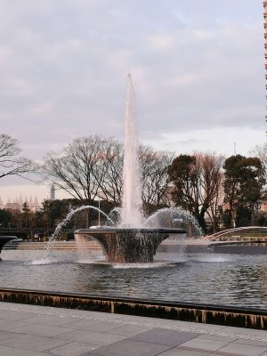 35.68283081027778,139.76086425777777