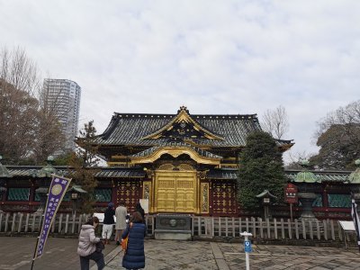 35.71534347527778,139.77110290500002