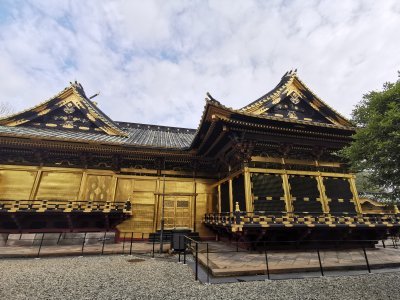 35.71530532833334,139.77059936500001