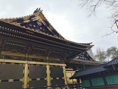 35.71549224833333,139.77076721166668