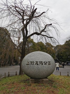 35.71075820916667,139.77380371083333