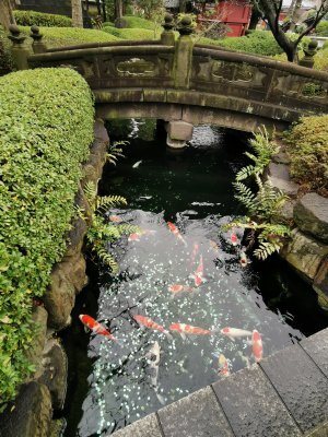 35.71372604361111,139.79699707027777