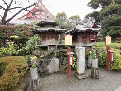 35.71372604361111,139.79699707027777