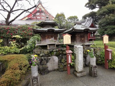 35.71372604361111,139.79699707027777